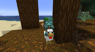 DrownedChickenJockey.png