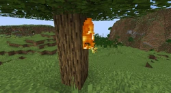 A flaming spectral arrow stuck in a tree.