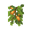 Cave Vines (berries) JE1 BE1.png