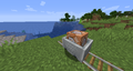 A minecart with command block in 1.16.4.