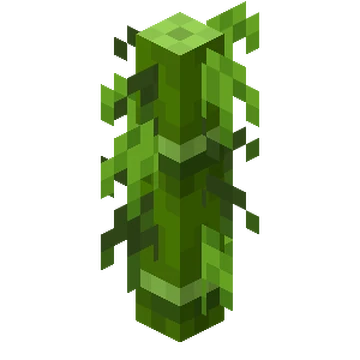 Bamboo  Minecraft Wiki