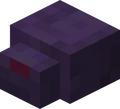 An endermite.