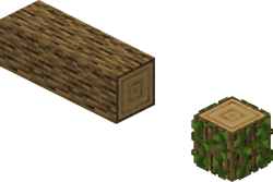 Oak Fallen Log