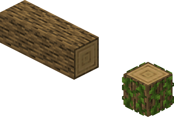 Oak Official Minecraft Wiki