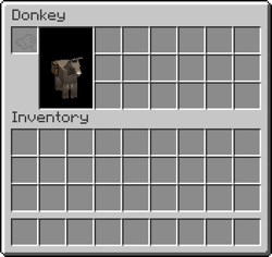Donkey (wearing chest) Mule (wearing chest)