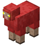 Enchanted Red Sheep