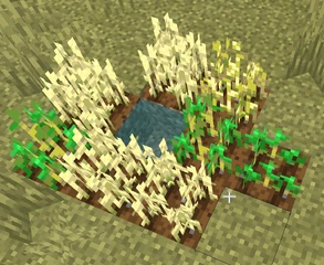 The smallest naturally-generated farm I've seen
