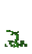 Attached Stem Age 10 JE1.png