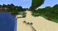 Beach biome.