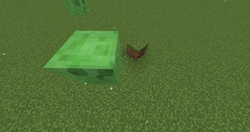 Slime. Rarity: common. Drops: medium slime (large), small slime (medium) or slime ball (small). Extras:…
