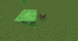 Slime, Minecraft: Xbox 360 Edition Wiki