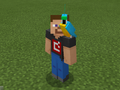 Cyan Parrot on Developer Steve.png