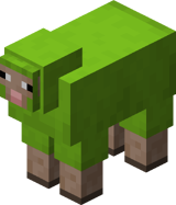 Lime Sheep BE