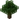Oak JE13
