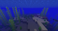 A naturally generated gravel floor as seen in an ocean.