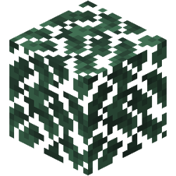Snowy Plains