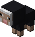 Baby Black Sheep.png