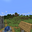 1.14 panorama 1.png
