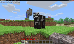 Java Edition Alpha v1.0.8 – Minecraft Wiki