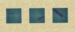 The three different sizes of salmon.