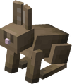 Brown Rabbit.png