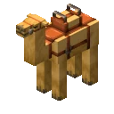 Saddled Camel Sitdown