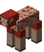 Sheared Red Sheep