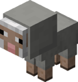 Baby Light Gray Sheep.png