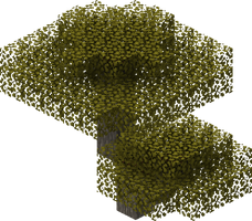 Acacia Tree.png