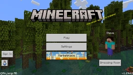 Bedrock 1.19.62