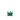 Torchflower Age 0