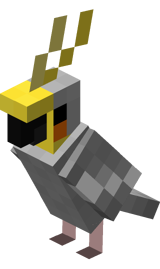 Gray Parrot