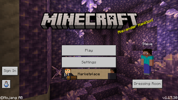 Download Free Minecraft Pocket Edition 1.17.30 In Android