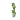 Big Dripleaf Stem JE1 BE1