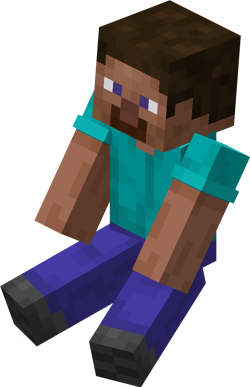 Steve