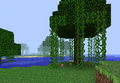 Old view of a swamp biome.