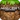 Pocket Edition icon 2