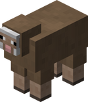 Brown Sheep JE1.png