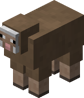 Brown Sheep JE1