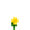 Buttercup (texture)