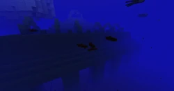 A school of 3 salmon.