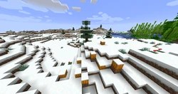 A group of pumpkins generated in a snowy tundra.