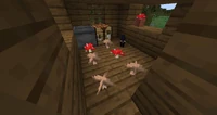 A witch hut with multiple mushrooms of both types spawning naturally inside of it, even on the crafting table.