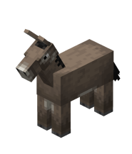 Donkey