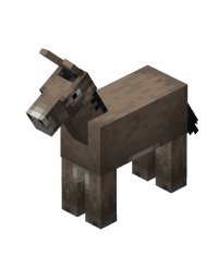 Donkey