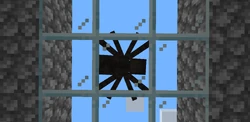 A view of a spider from below.