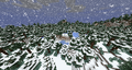 Snowfall in the Tundra biome.