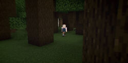 Dark Forest biome – Pixelmon Reforged Wiki