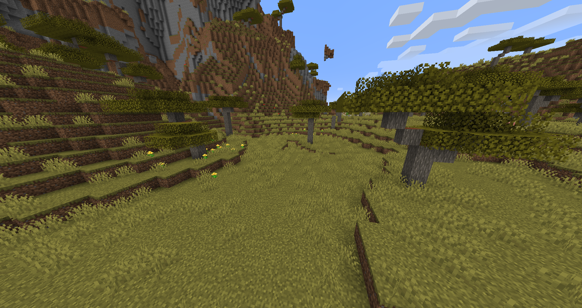 acacia leaves minecraft