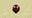 Nether Wart Age 1-2 JE5